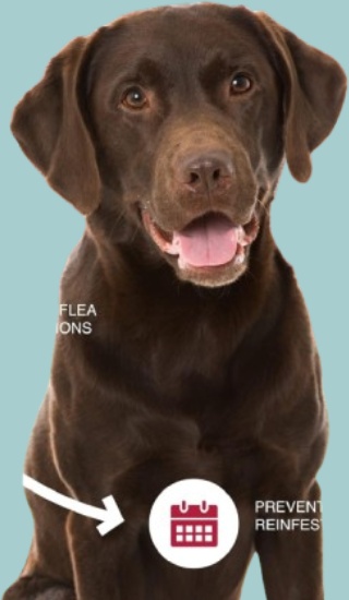 K9 Advantix II features